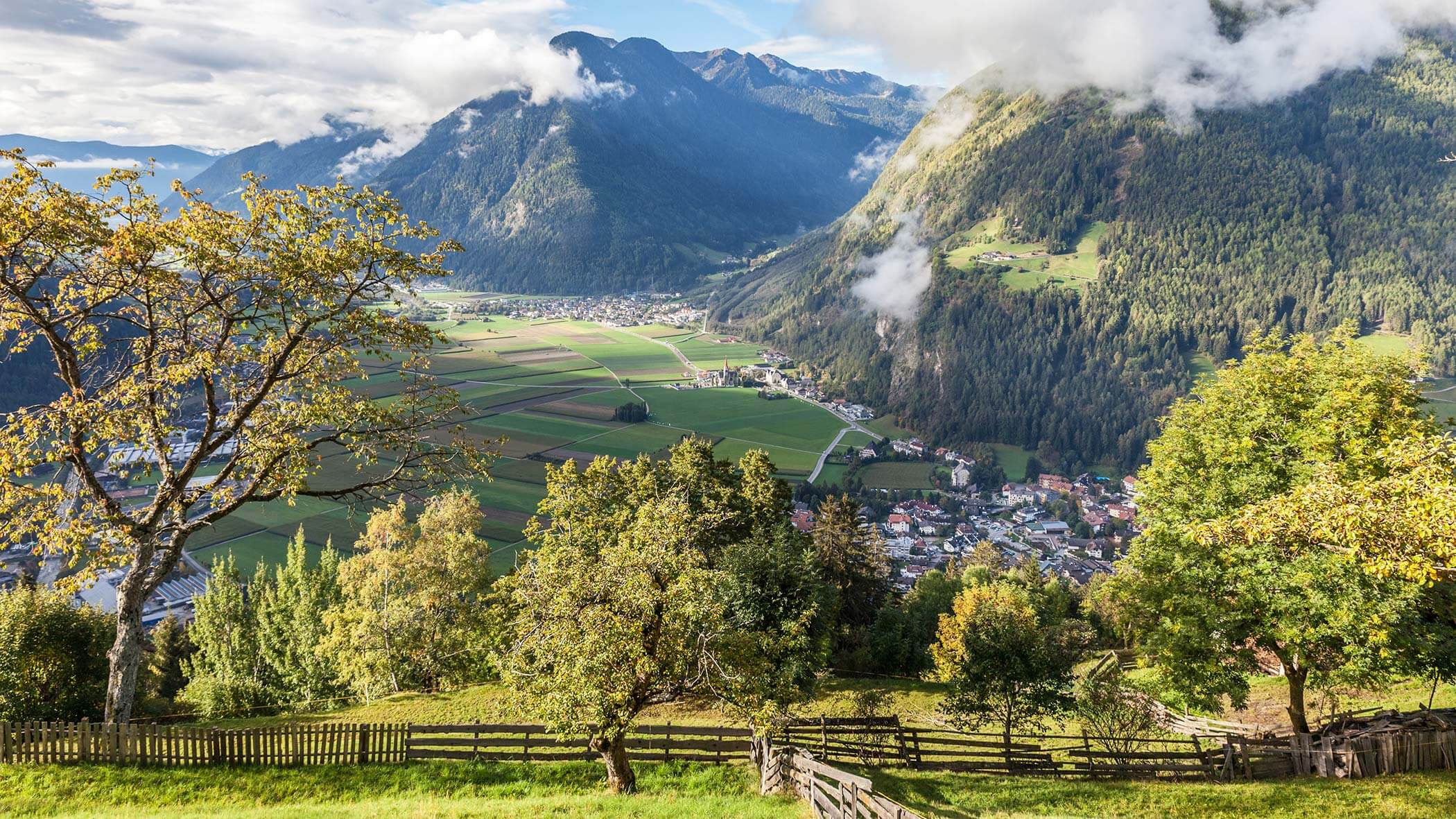 Acereto in Alto Adige