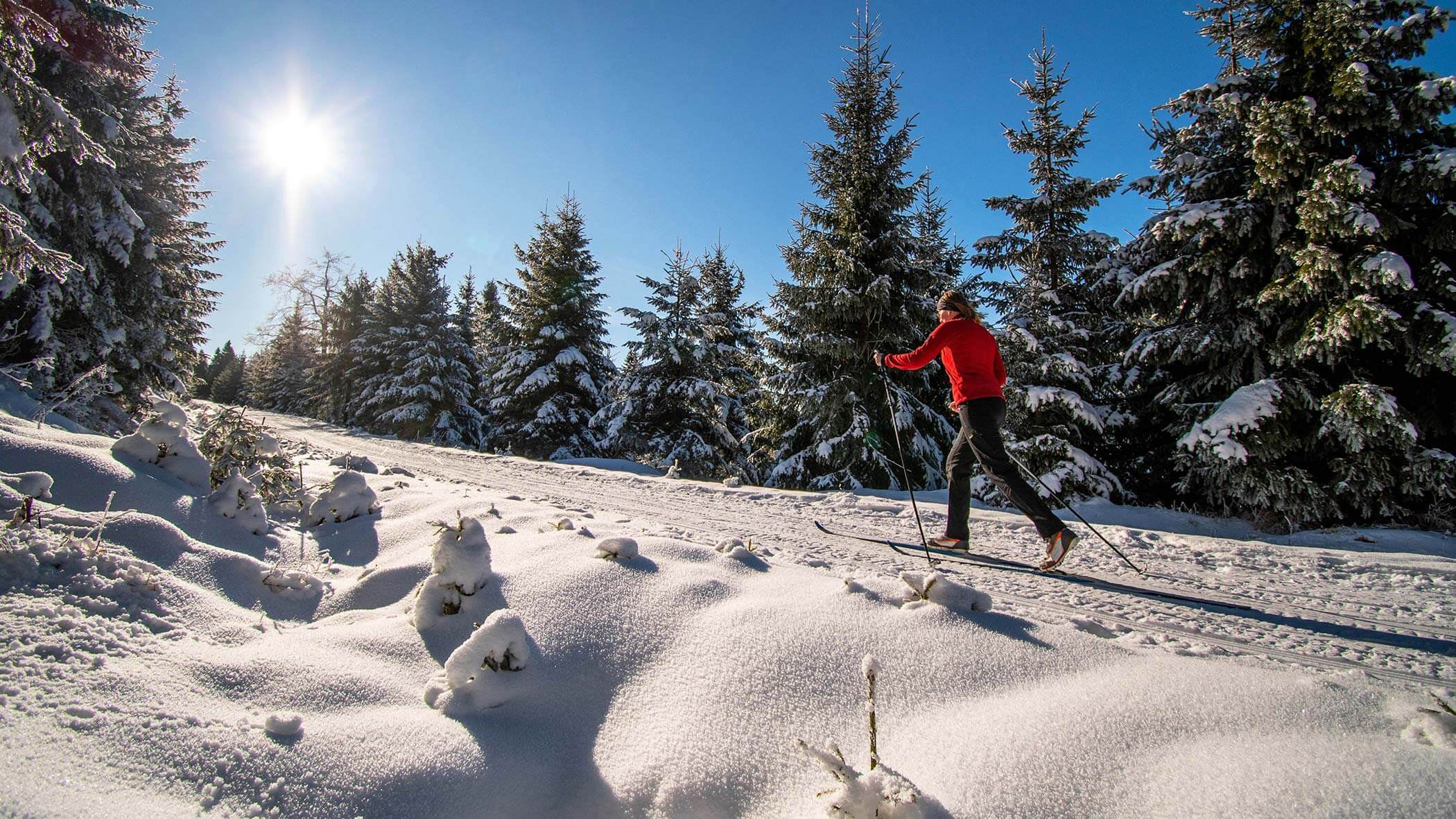 Sci di fondo a Acereto