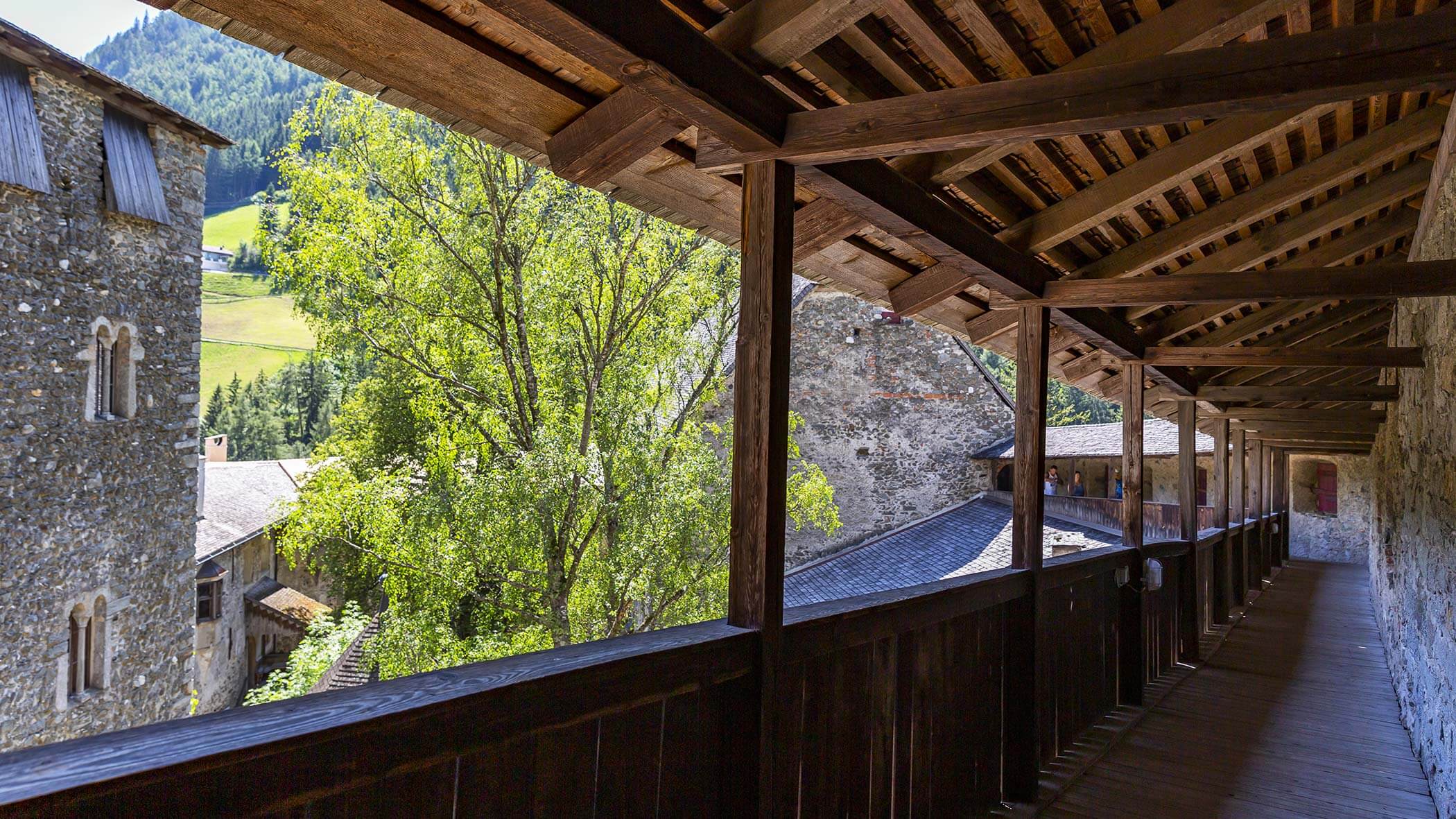 Visita - Castello di Tures