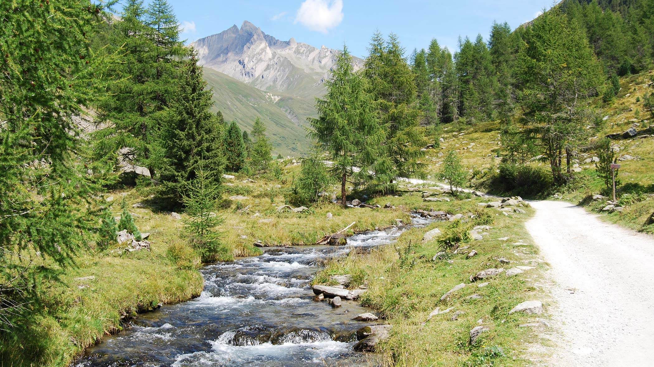 Escursione alla Malga Knutten a Riva di Tures