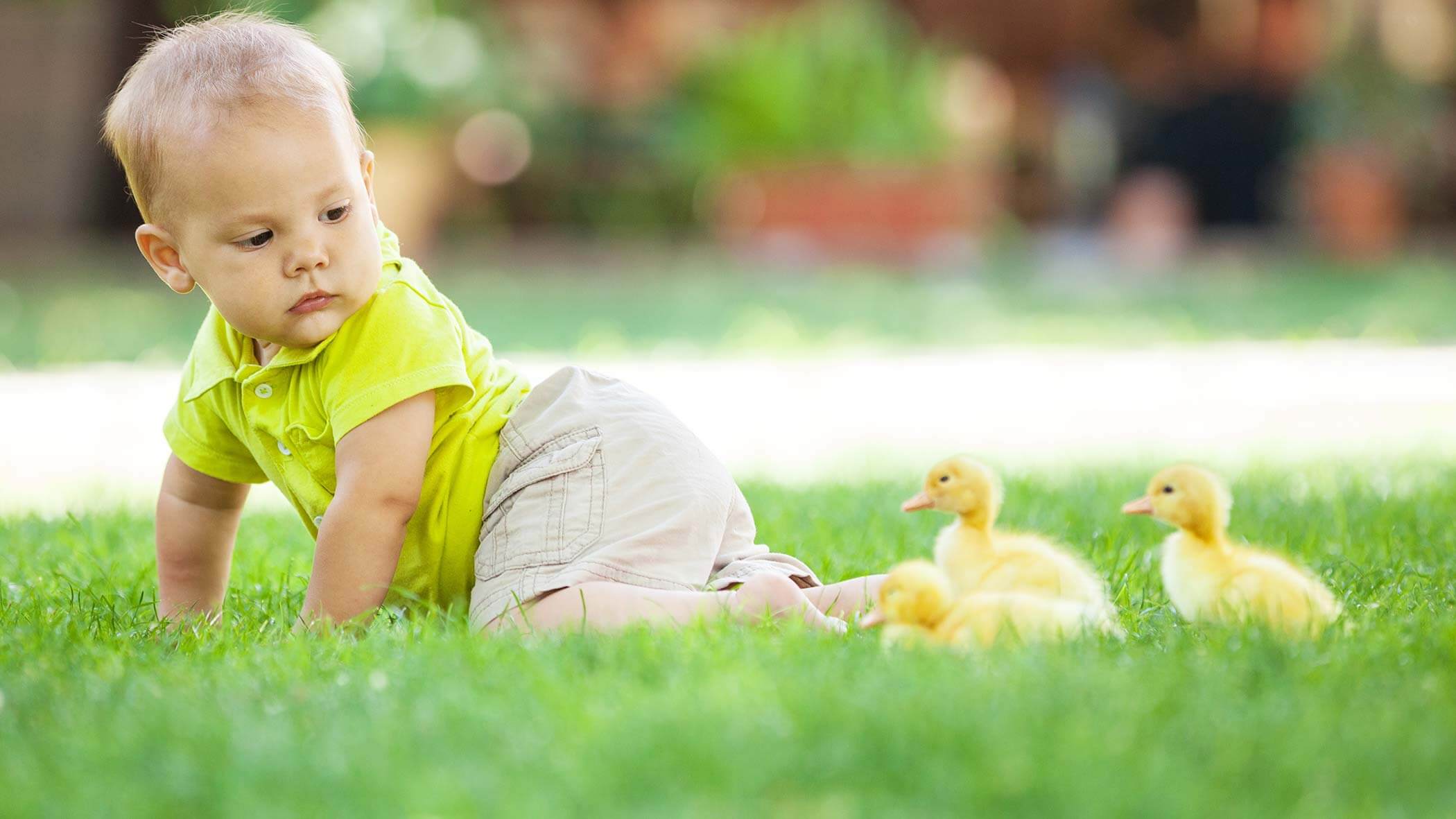 Speikboden in estate - Mini Zoo