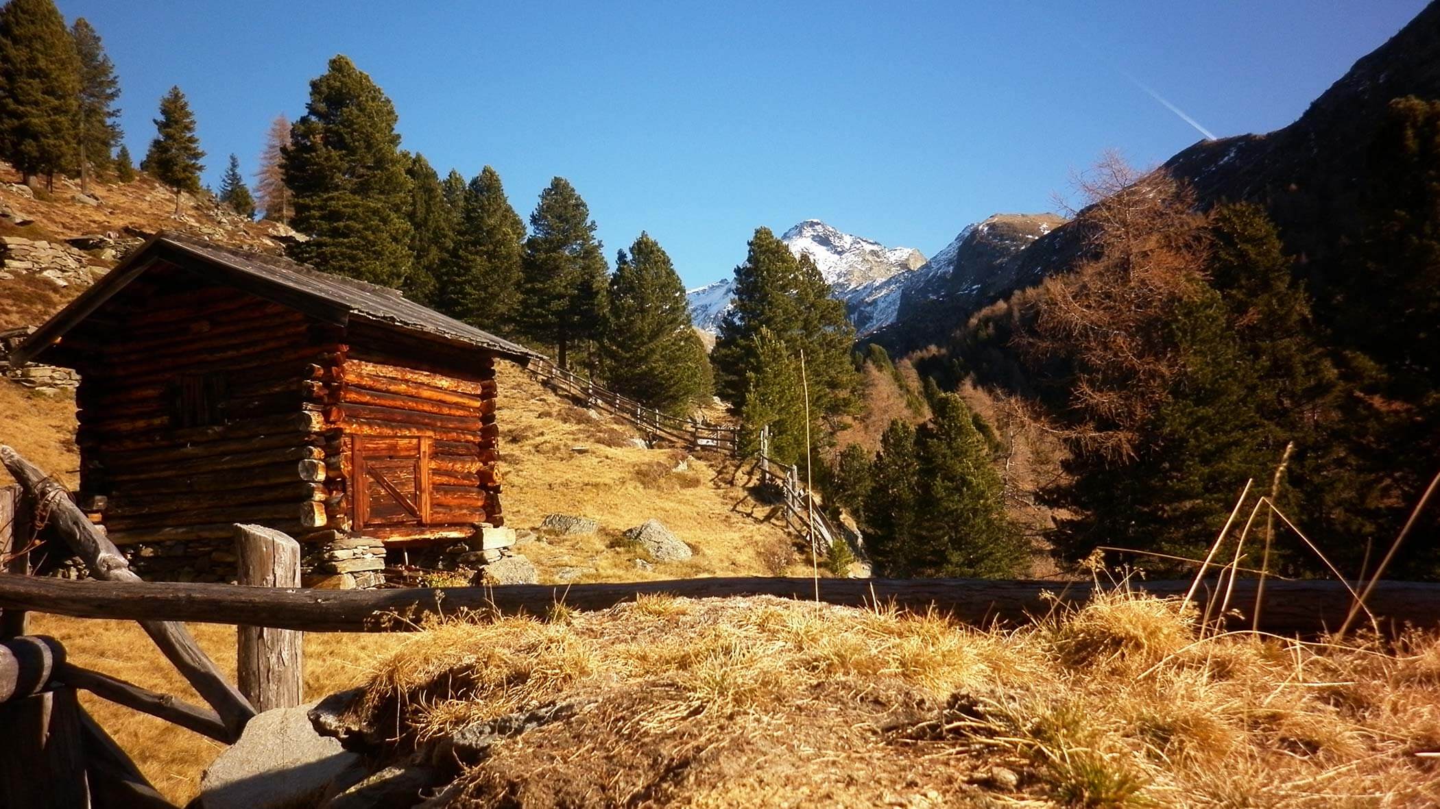Vista sulla Malga Poja