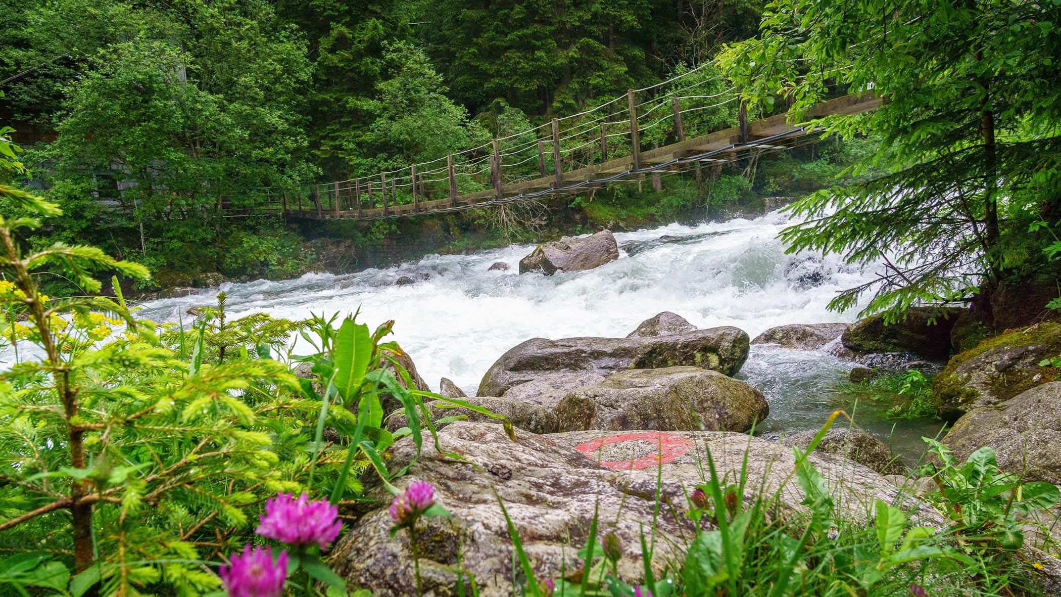 Ponte - Cascate di Riva